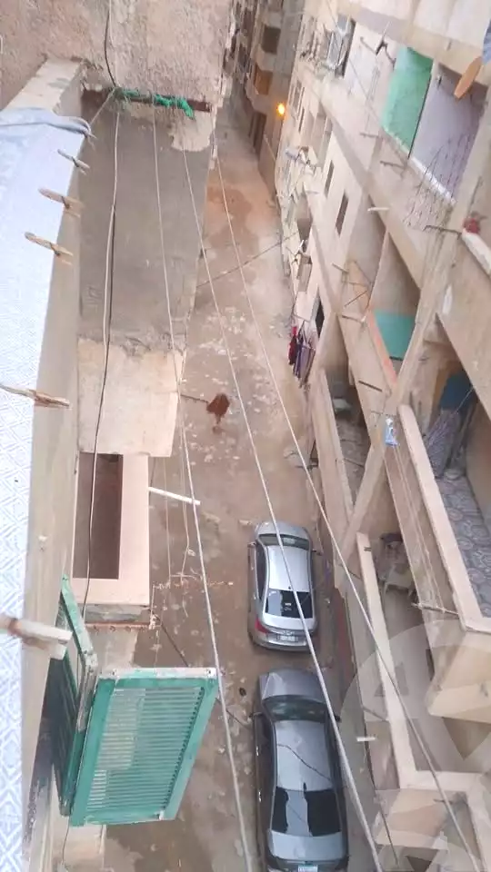 https://aqarmap.com.eg/en/listing/6714800-for-sale-alexandria-l-jmy-el-hanouvel