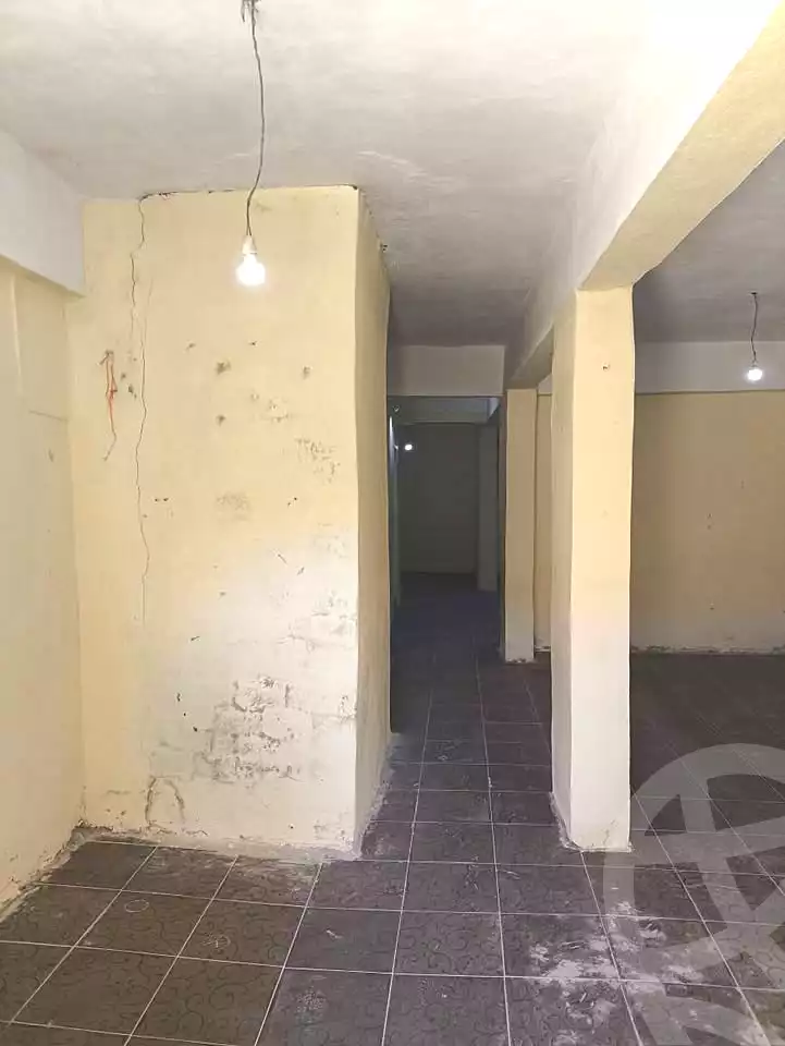 https://aqarmap.com.eg/en/listing/6714945-for-sale-alexandria-l-jmy-el-kilo-21