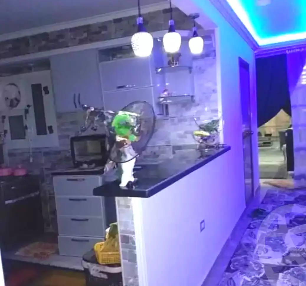 https://aqarmap.com.eg/ar/listing/6716454-for-sale-alexandria-l-jmy-lbytsh-bianchiii