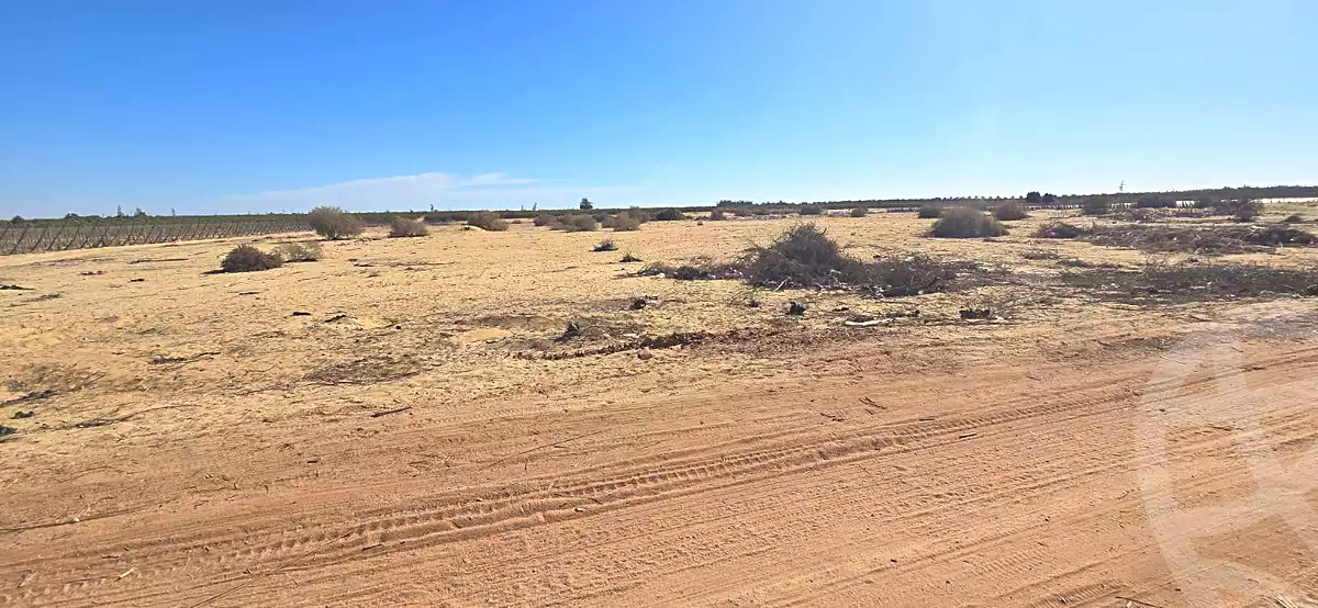 https://aqarmap.com.eg/en/listing/6706361-for-sale-beheira-wadi-el-natrun-bany-salama