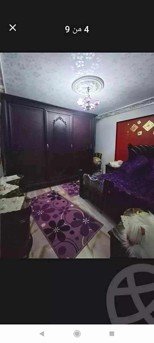 https://aqarmap.com.eg/ar/listing/6719141-for-sale-alexandria-l-jmy-lbytsh-princess-st