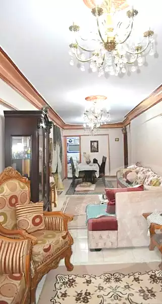 https://aqarmap.com.eg/en/listing/6724850-for-sale-alexandria-l-jmy-el-hanouvel