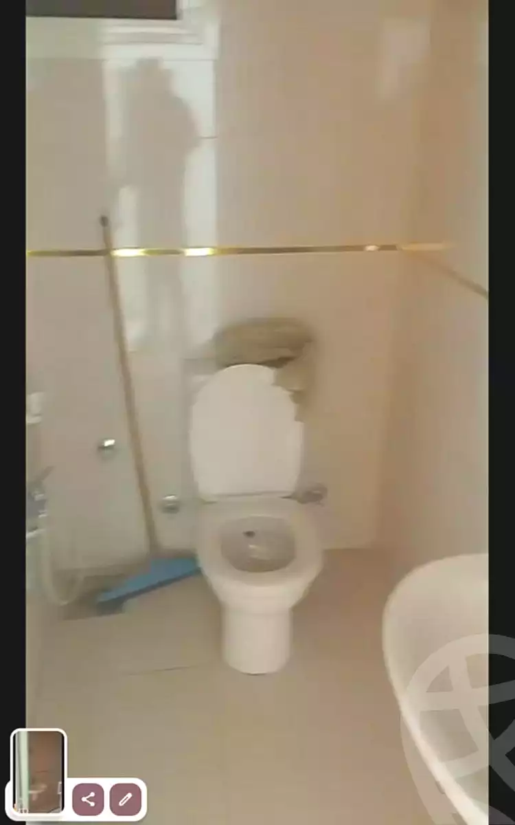 https://aqarmap.com.eg/en/listing/6731964-for-rent-cairo-el-sayyeda-zeinab-port-said-st