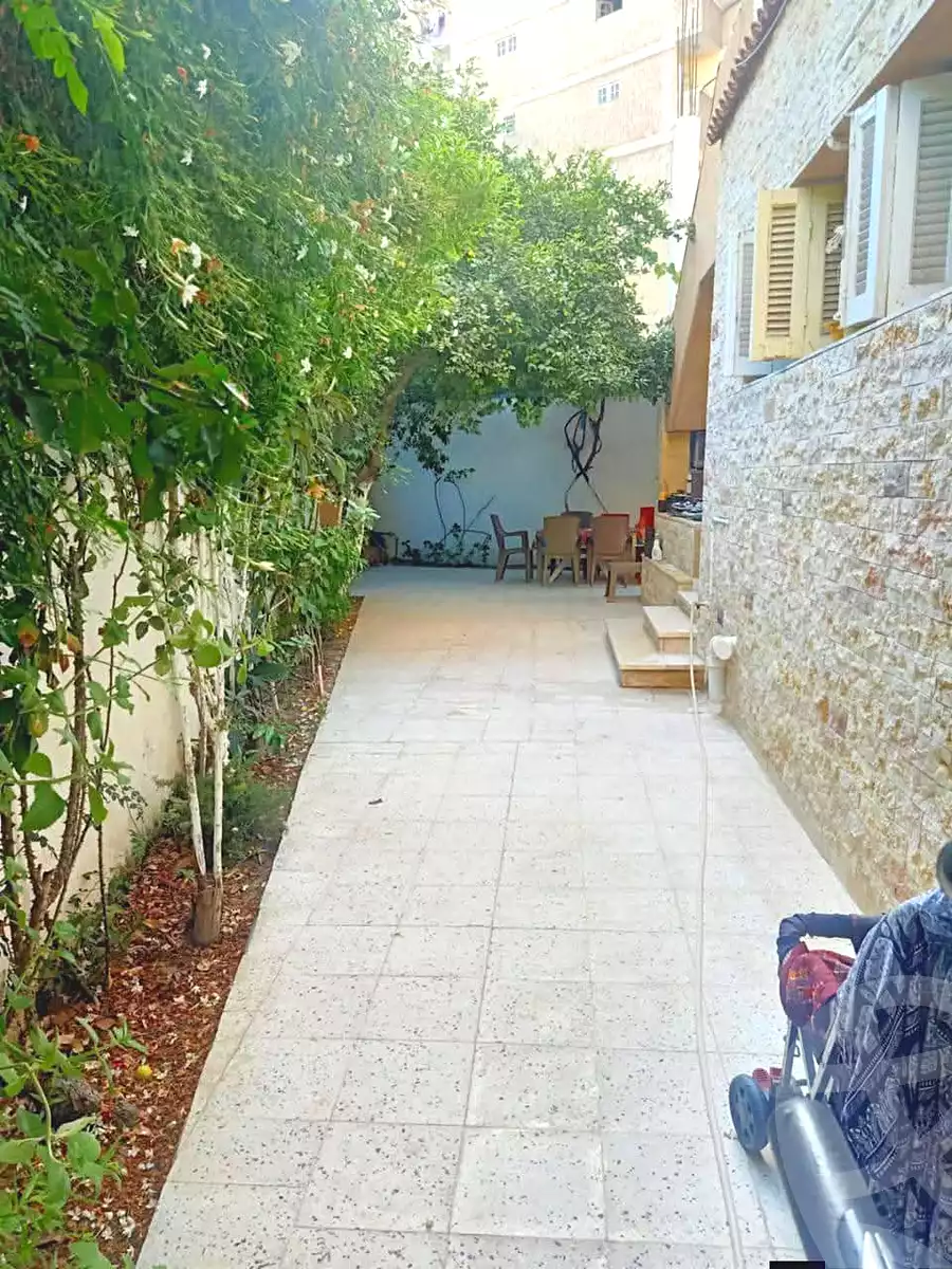 https://aqarmap.com.eg/en/listing/6738526-for-sale-alexandria-l-jmy-lbytsh-al-aeda-al-kadema-st