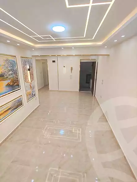https://aqarmap.com.eg/en/listing/6740318-for-sale-alexandria-miami-iskandar-ibrahim-st
