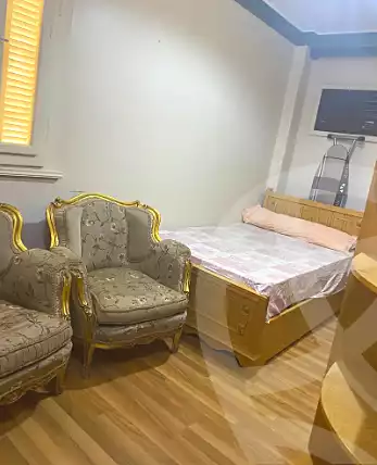 https://aqarmap.com.eg/en/listing/6742606-for-rent-cairo-dokki-msdq