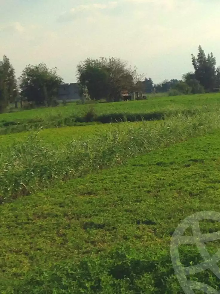 https://aqarmap.com.eg/ar/listing/6744459-for-sale-dakahlia-mit-ghamr-met-el-korashi