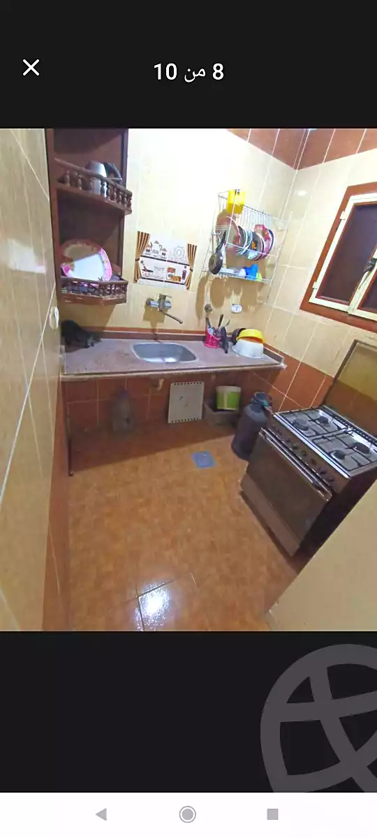 https://aqarmap.com.eg/ar/listing/6745978-for-sale-alexandria-l-jmy-lbytsh-el-hanafeya-st