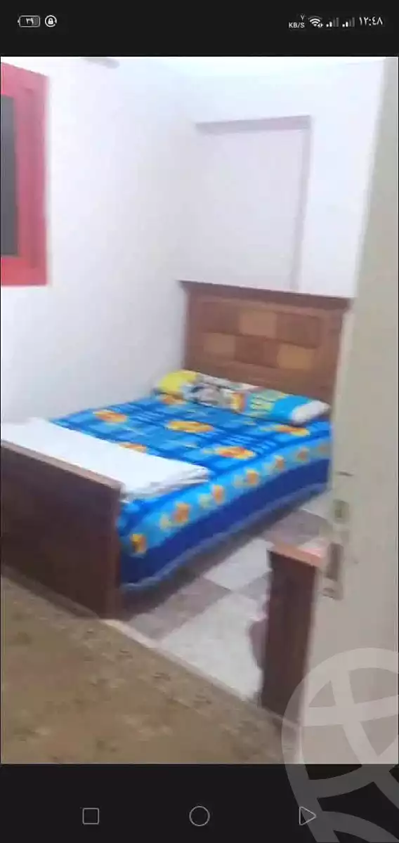 https://aqarmap.com.eg/en/listing/6749906-for-rent-alexandria-miami-khld-bn-lwlyd