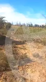 https://aqarmap.com.eg/en/listing/6752216-for-sale-beheira-wadi-el-natrun