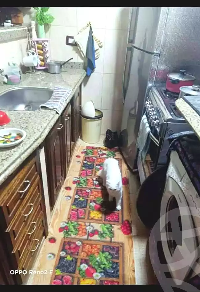 https://aqarmap.com.eg/ar/listing/6757123-for-sale-alexandria-fyktwry-shr-jml-bd-lnsr