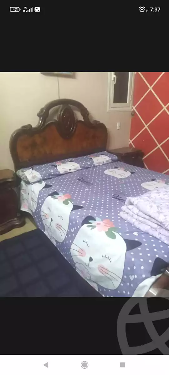 https://aqarmap.com.eg/en/listing/6759238-for-rent-cairo-faisal-el-maryotyah