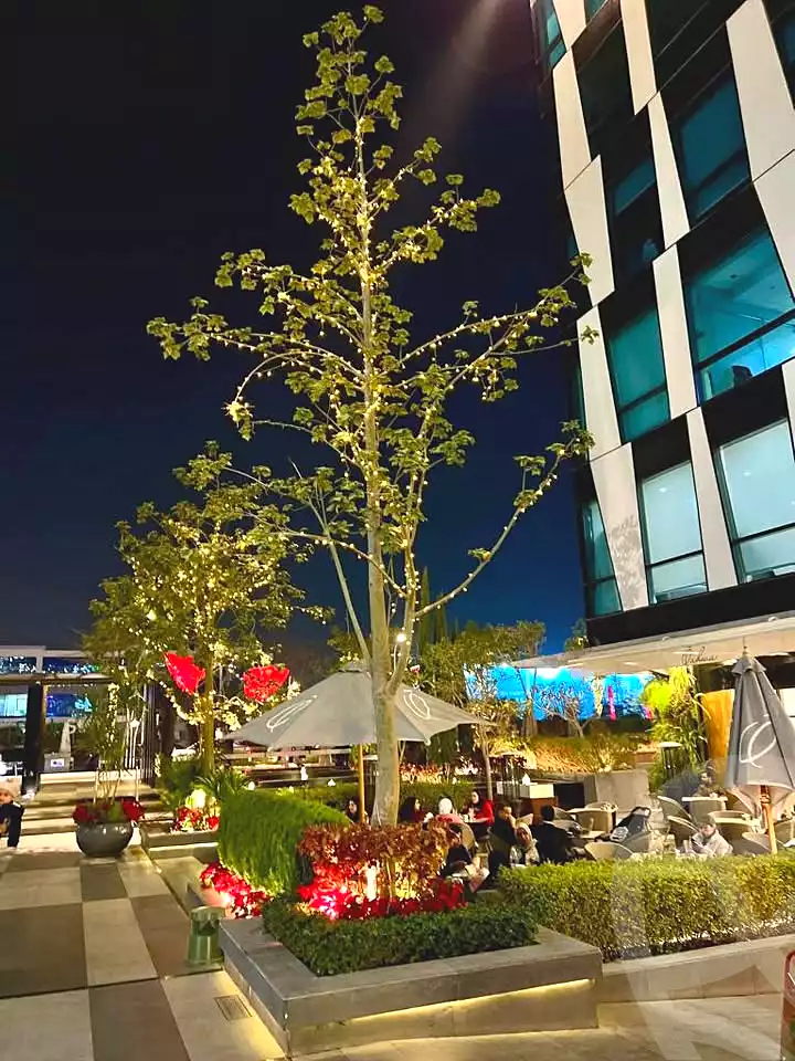 https://aqarmap.com.eg/en/listing/6762388-for-rent-cairo-el-sheikh-zayed-city-compounds-brk-stryt-mwl-sky