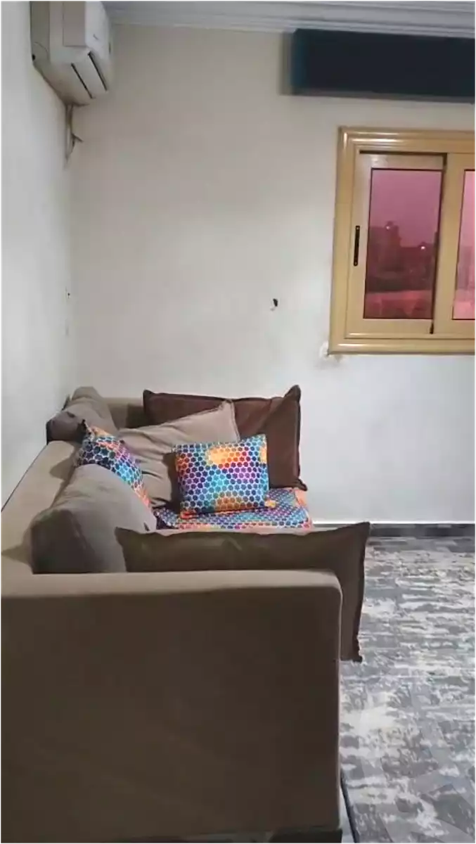 https://aqarmap.com.eg/ar/listing/6762956-for-sale-cairo-old-cairo-el-fostat-lfstt-ljdyd-neighborhood-2