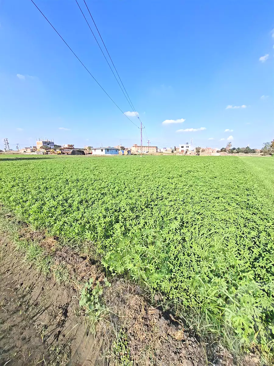 https://aqarmap.com.eg/ar/listing/6750321-for-sale-sharqia-faqous-faqous-city
