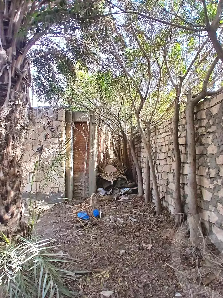 https://aqarmap.com.eg/en/listing/6767793-for-sale-alexandria-l-jmy-lbytsh-al-kaada-st
