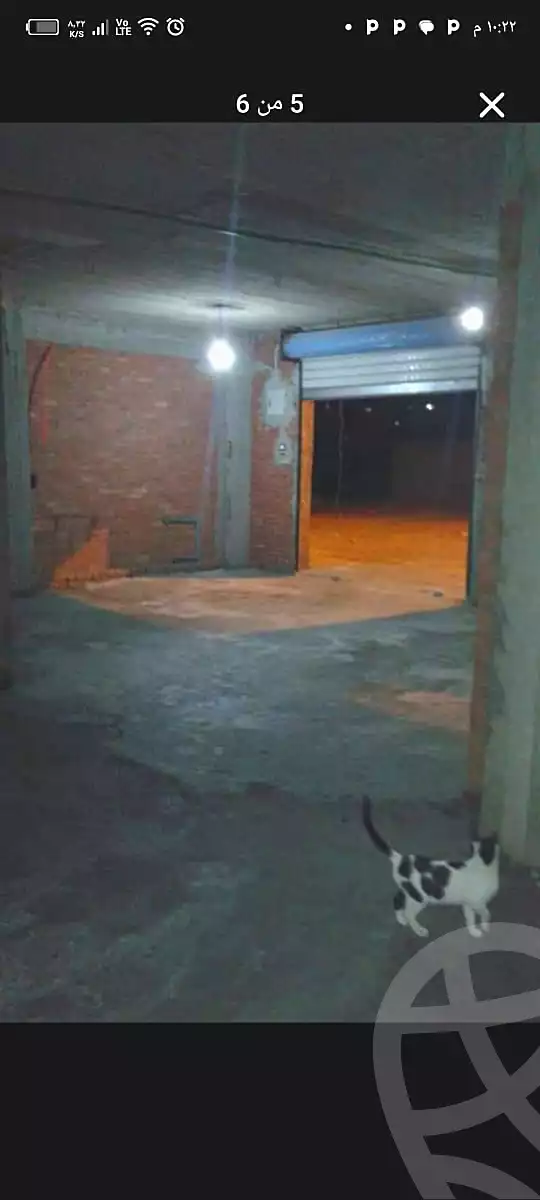 https://aqarmap.com.eg/ar/listing/6771002-for-rent-qalyubia-banha-city-banha-city-el-mashroa-st