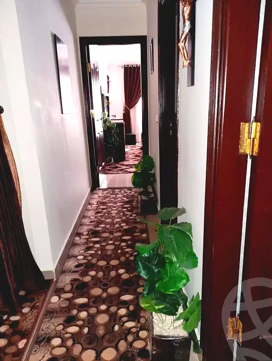 https://aqarmap.com.eg/ar/listing/6771807-for-sale-alexandria-el-asafra-l-sfr-qbly-street-30