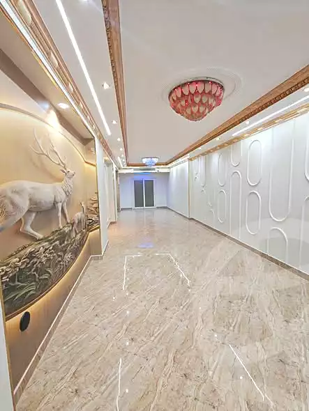 https://aqarmap.com.eg/en/listing/6778736-for-sale-cairo-faisal-el-lebeny