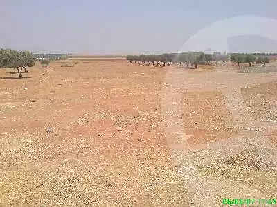 https://aqarmap.com.eg/en/listing/6780042-for-sale-cairo-6th-of-october-jml-bd-lnsr