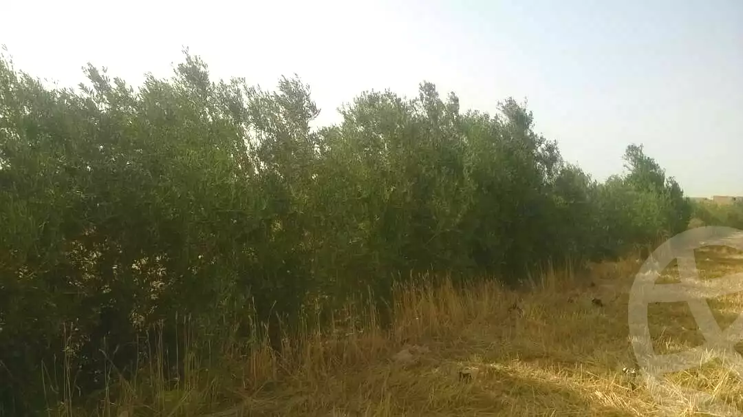 https://aqarmap.com.eg/ar/listing/6781073-for-sale-beheira-abu-el-matamir-abu-el-matamir-city