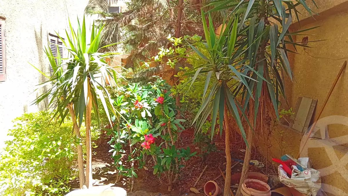 https://aqarmap.com.eg/ar/listing/6783669-for-sale-cairo-6th-of-october-el-ahyaa-neighborhood-1st-eighth-neighborhood