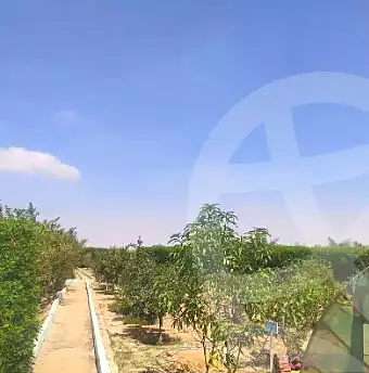 https://aqarmap.com.eg/ar/listing/6783701-for-sale-el-fayoum-asyut-rd