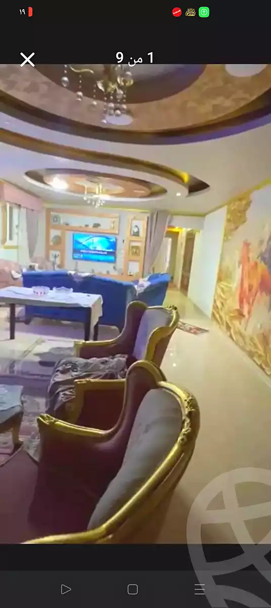 https://aqarmap.com.eg/en/listing/6784016-for-sale-alexandria-l-jmy-lbytsh-qased-kareem-st