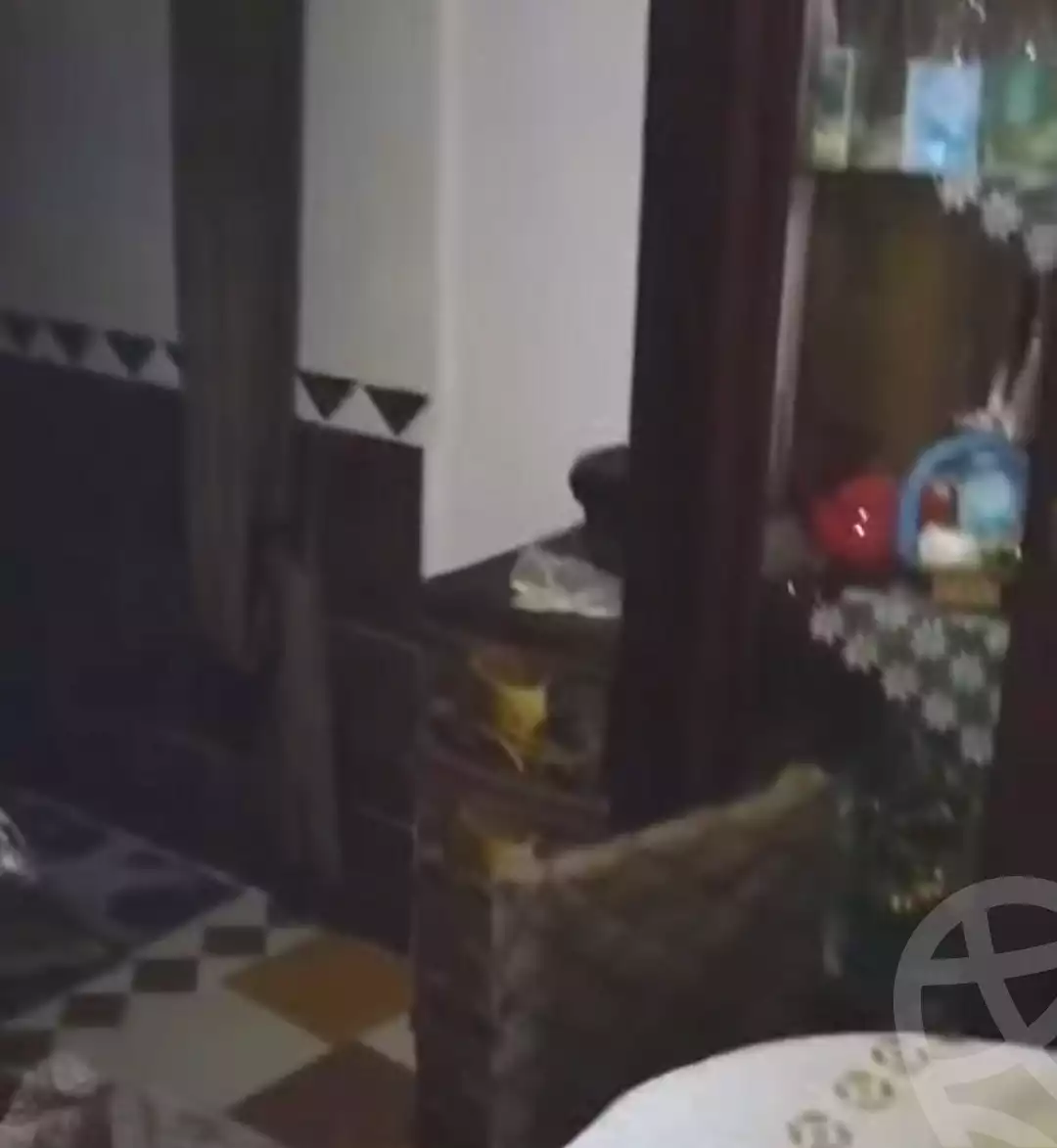 https://aqarmap.com.eg/en/listing/6786328-for-sale-alexandria-l-jmy