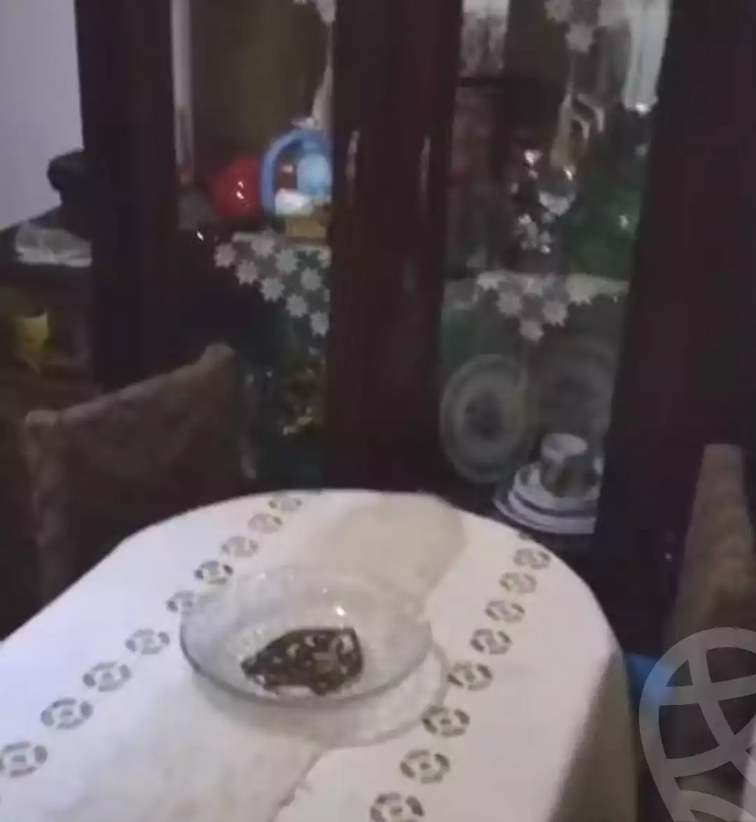 https://aqarmap.com.eg/en/listing/6786328-for-sale-alexandria-l-jmy