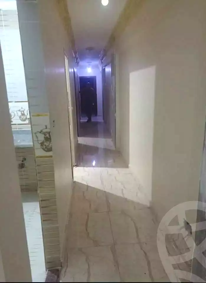 https://aqarmap.com.eg/en/listing/6789212-for-rent-alexandria-l-jmy-lbytsh-el-hay-st