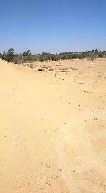 https://aqarmap.com.eg/ar/listing/6790981-for-sale-cairo-el-sheikh-zayed-city-alex-cairo-desert-road