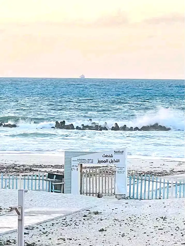https://aqarmap.com.eg/ar/listing/6791599-for-sale-alexandria-l-jmy-shataa-el-nakheel