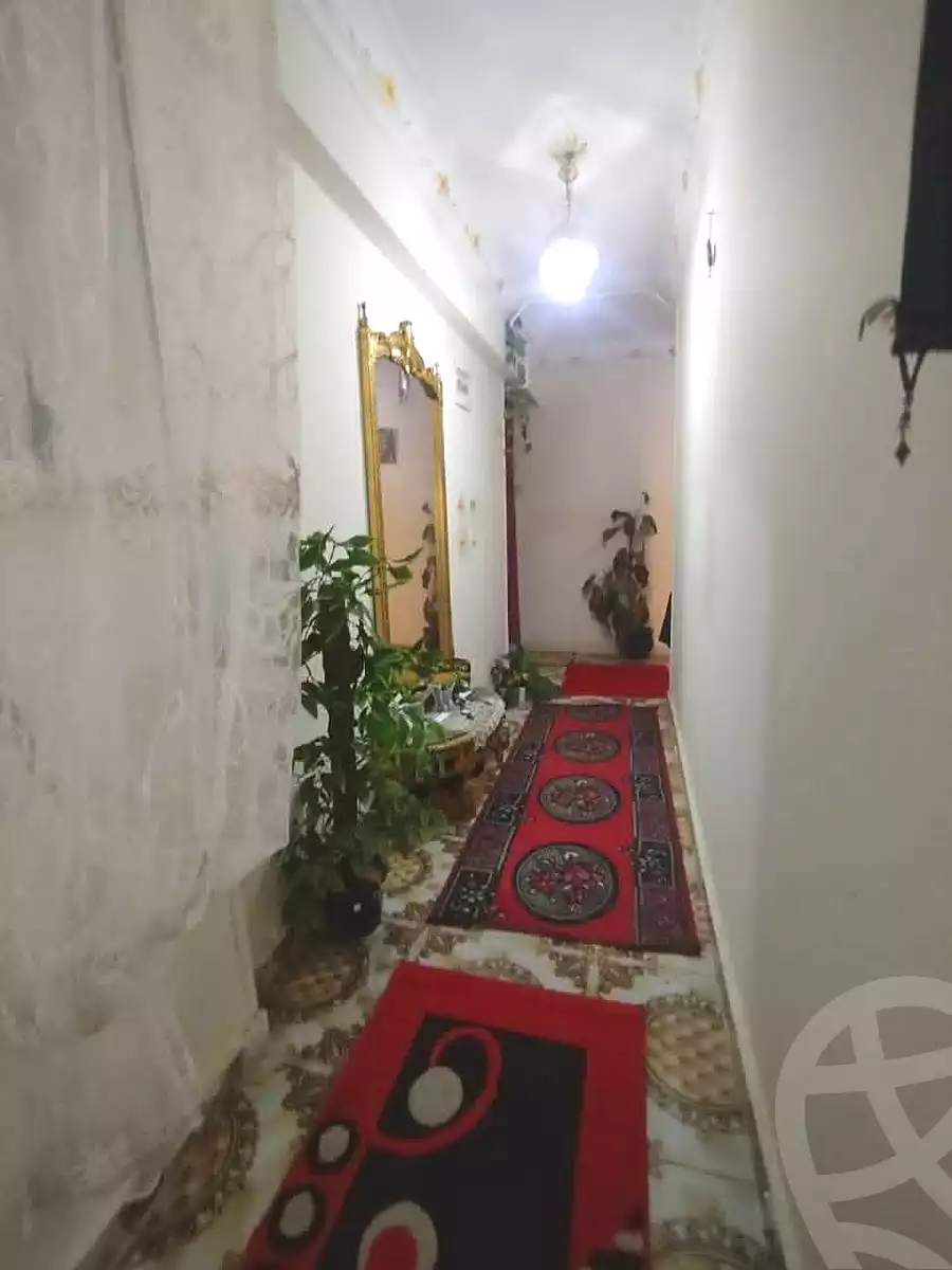 https://aqarmap.com.eg/en/listing/6793550-for-sale-alexandria-l-jmy-lbytsh-belia-st