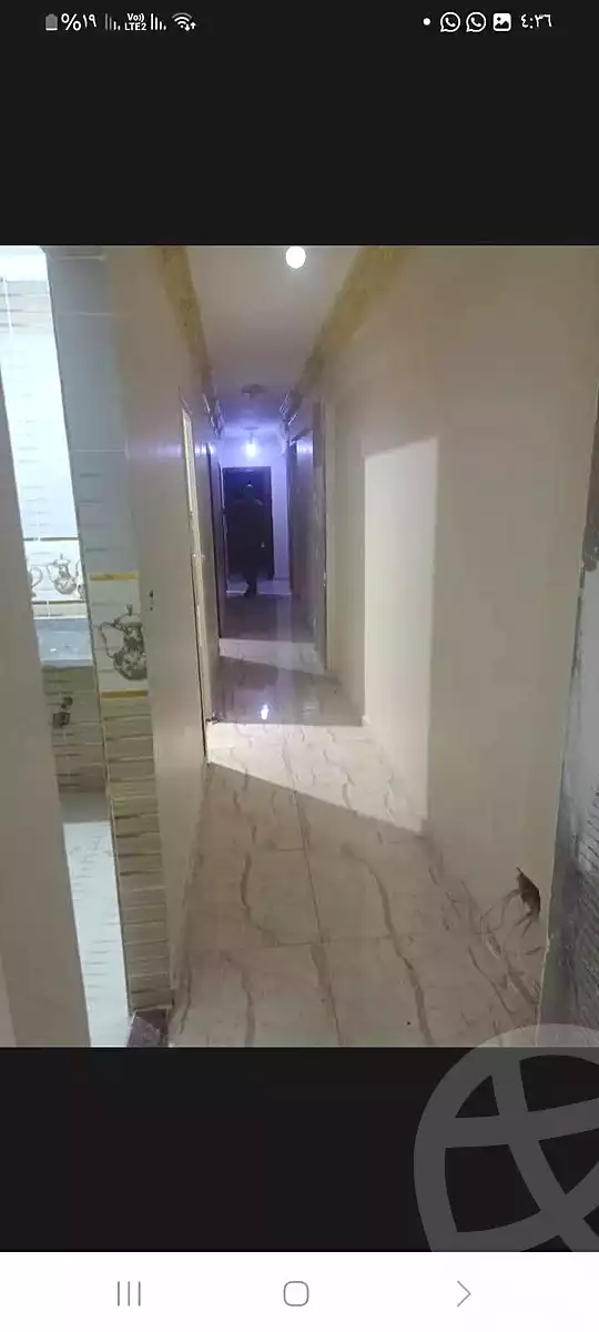https://aqarmap.com.eg/en/listing/6793845-for-rent-alexandria-l-jmy-lbytsh-el-hay-st