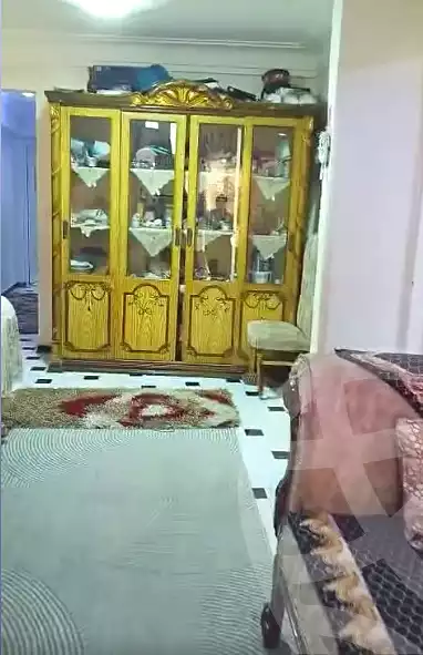 https://aqarmap.com.eg/en/listing/6794233-for-sale-alexandria-l-jmy-lbytsh-princess-st