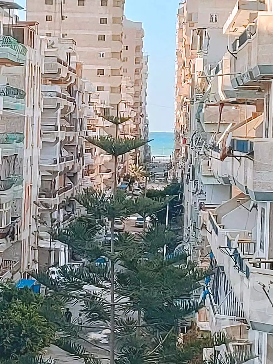 https://aqarmap.com.eg/ar/listing/6798310-for-sale-alexandria-l-jmy-shataa-el-nakheel