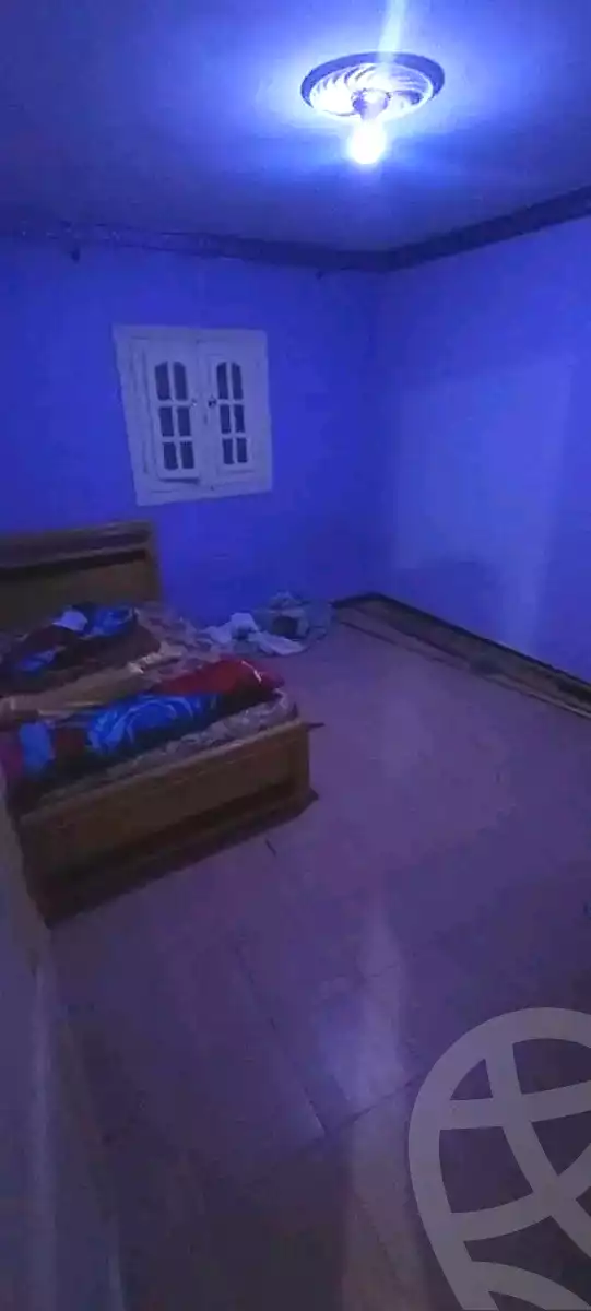 https://aqarmap.com.eg/en/listing/6798730-for-rent-alexandria-l-jmy-lbytsh-el-hay-st