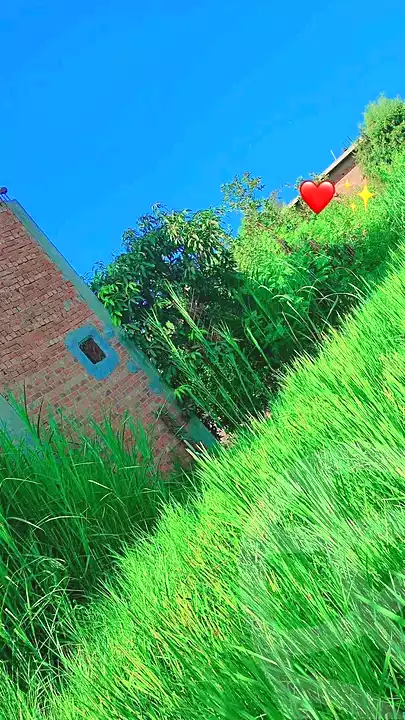 https://aqarmap.com.eg/ar/listing/6800186-for-sale-dakahlia-sherbeen-Mahallat-anshak