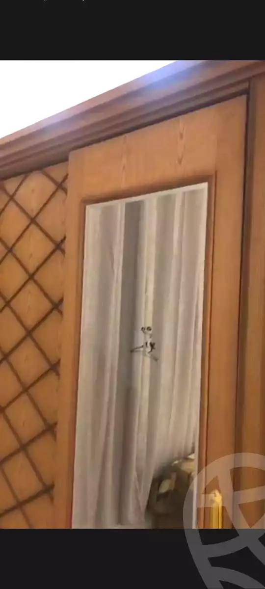 https://aqarmap.com.eg/ar/listing/6804231-for-rent-cairo-faisal-shareaa-el-malek-fasel