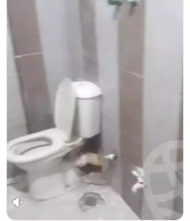 https://aqarmap.com.eg/en/listing/6807394-for-rent-cairo-el-marg