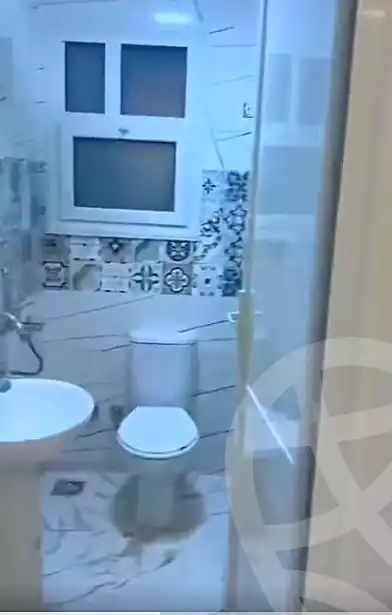 https://aqarmap.com.eg/en/listing/6811417-for-rent-cairo-ain-shams