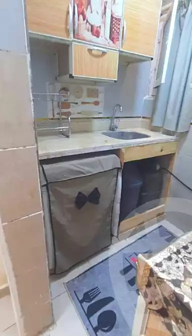 https://aqarmap.com.eg/en/listing/6815316-for-rent-cairo-manial