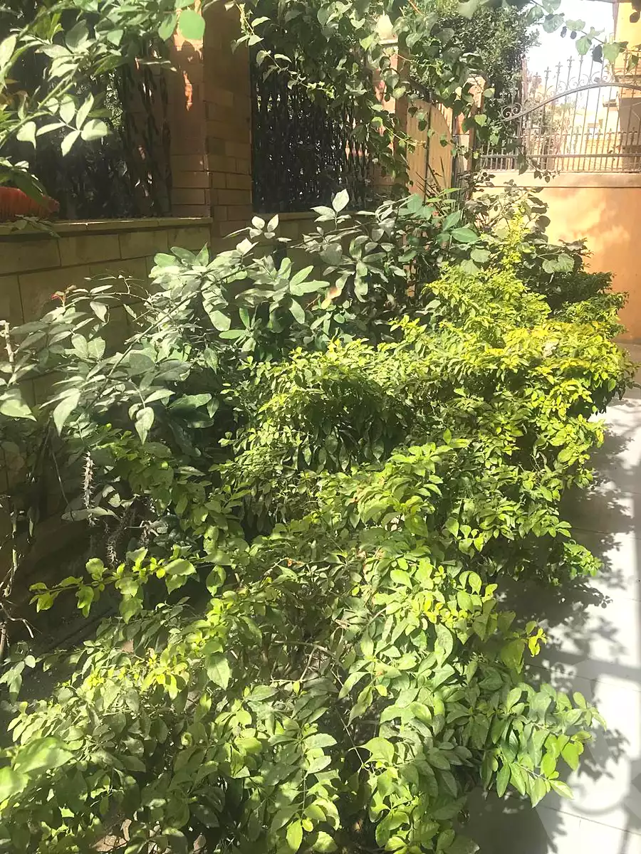 https://aqarmap.com.eg/ar/listing/6817763-for-rent-cairo-6th-of-october-mntq-fr-y-b-6-ktwbr