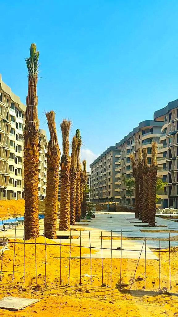 https://aqarmap.com.eg/en/listing/6819078-for-sale-cairo-new-administrative-capital-r7-midtown-condo