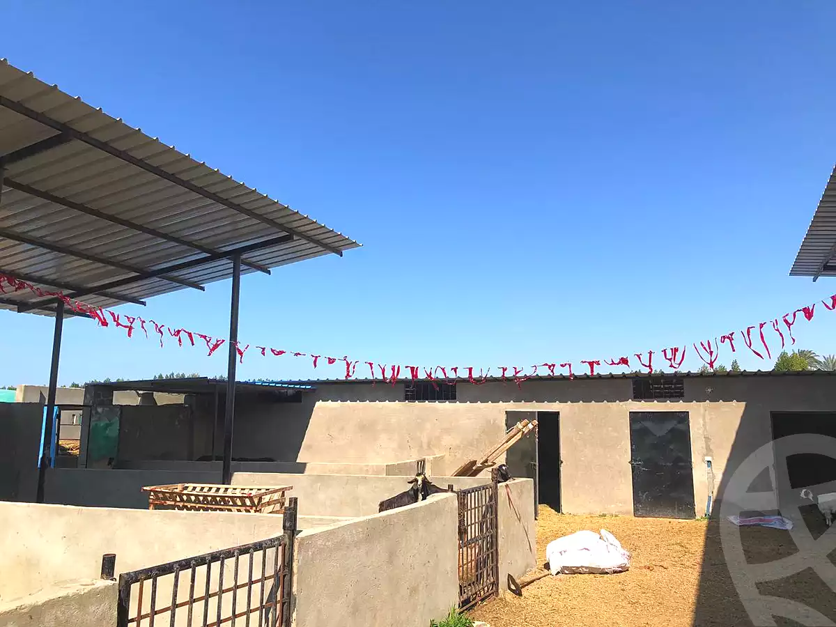 https://aqarmap.com.eg/en/listing/6821719-for-sale-alexandria-borg-el-arab-gamal-abd-el-naser-rd