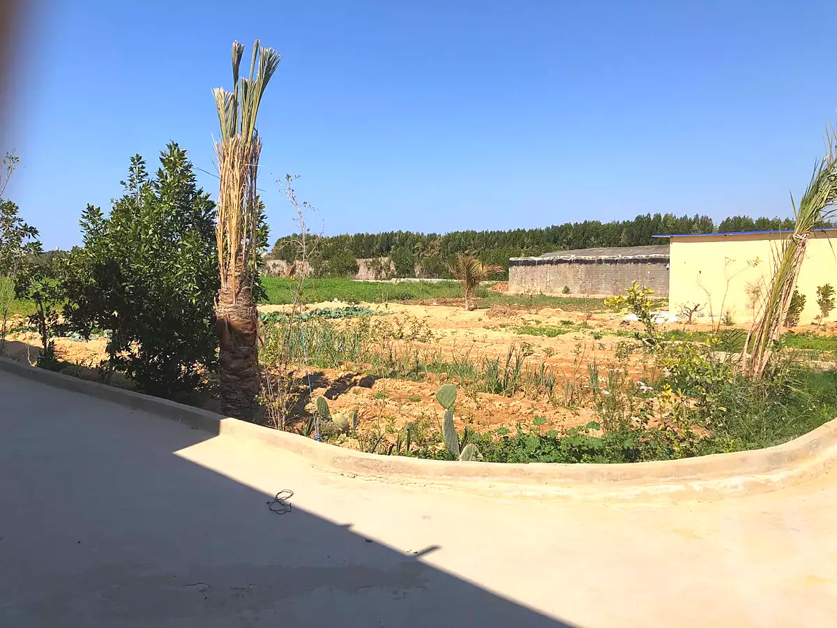 https://aqarmap.com.eg/en/listing/6821719-for-sale-alexandria-borg-el-arab-gamal-abd-el-naser-rd