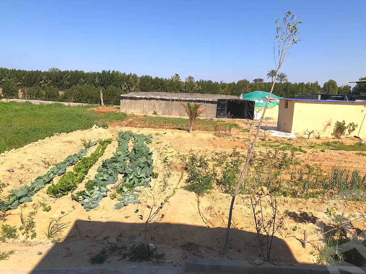 https://aqarmap.com.eg/en/listing/6821719-for-sale-alexandria-borg-el-arab-gamal-abd-el-naser-rd