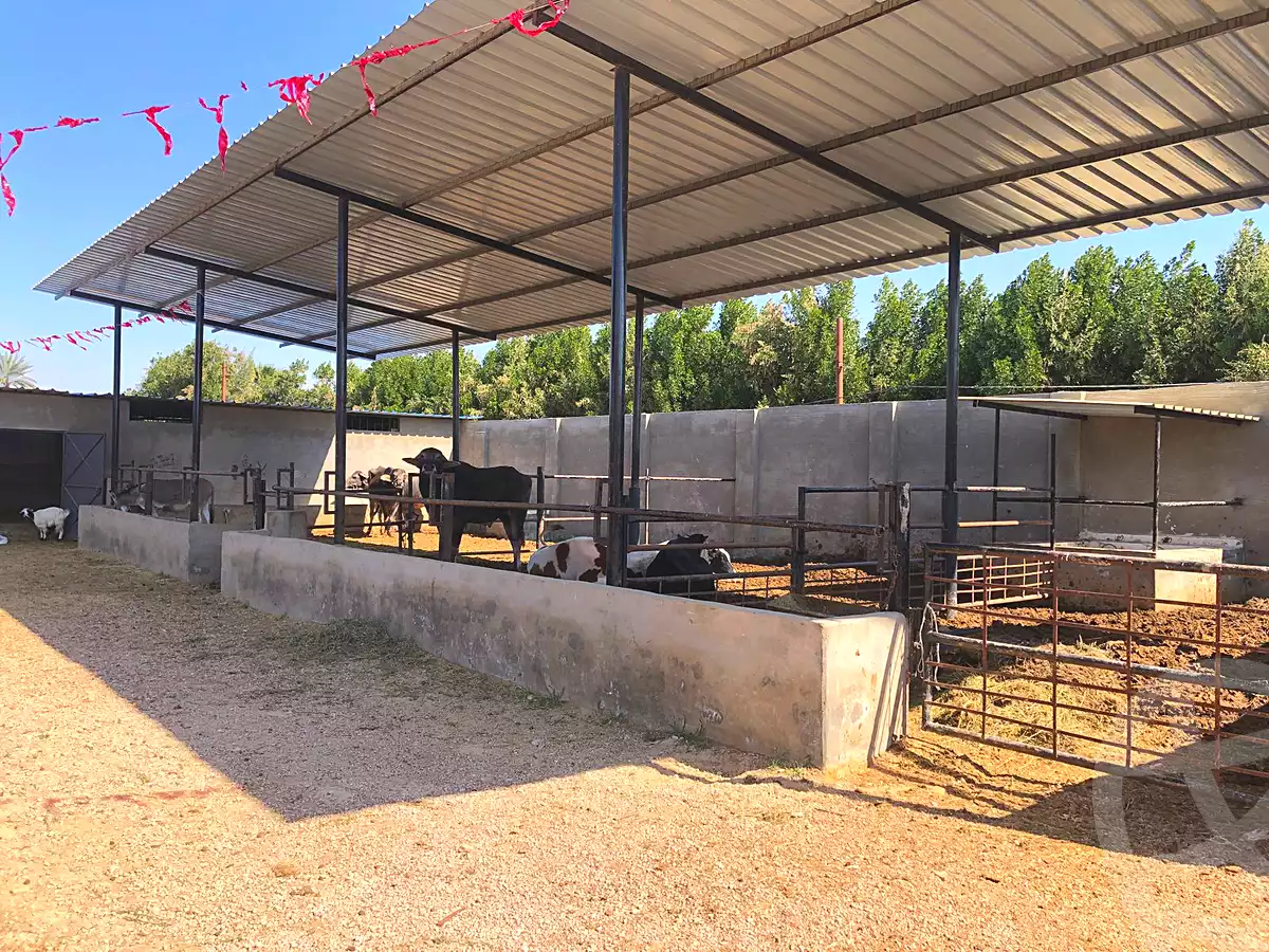 https://aqarmap.com.eg/en/listing/6821719-for-sale-alexandria-borg-el-arab-gamal-abd-el-naser-rd