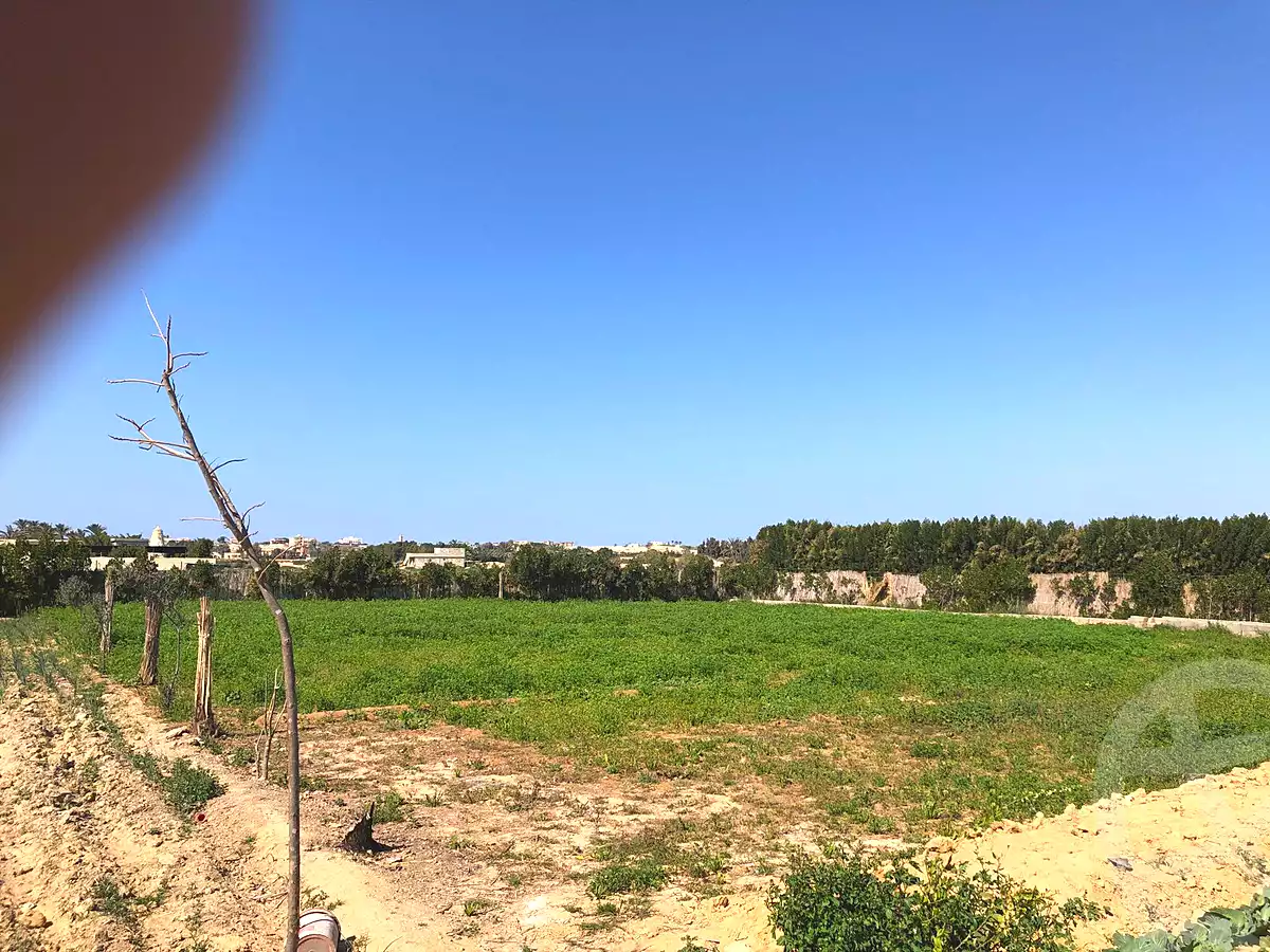 https://aqarmap.com.eg/en/listing/6821719-for-sale-alexandria-borg-el-arab-gamal-abd-el-naser-rd
